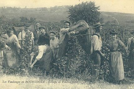 Beaune - Côte d'Or - Dépt 21.