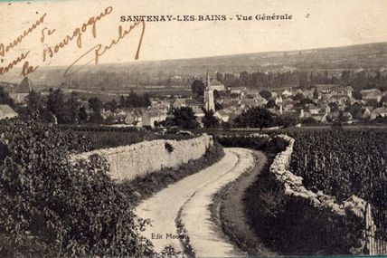 Santenay - Côte d'Or - Dépt 21.