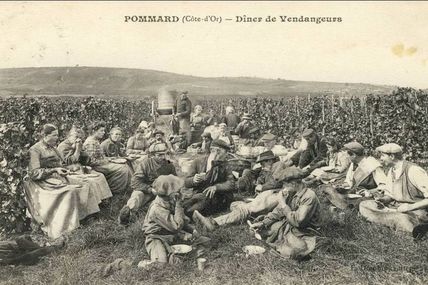 Pommard - Côte d'Or - Dépt 21.
