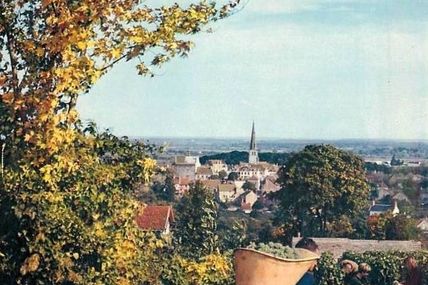 Meursault - Côte d'Or - Dépt 21.