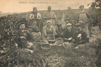 Chablis - Yonne - Dépt 89.