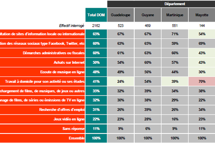DOM : Que faites-vous sur le net ?
