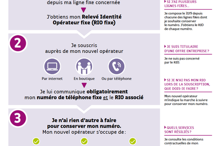 Infographie : Je change d’opérateur et je souhaite conserver mon numéro de téléphone fixe !