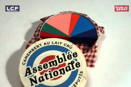 La vie démocratique