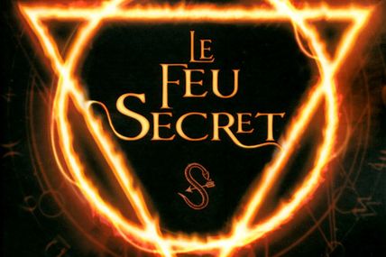 Le feu secret de Carina Rozenfeld et C.J. Daugherty ♪ Psycho ♪
