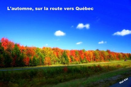 Les couleurs d'automne