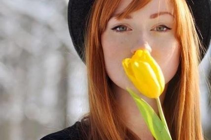 La tulipe