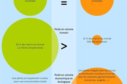 Les ressources des océans - quelques croquis