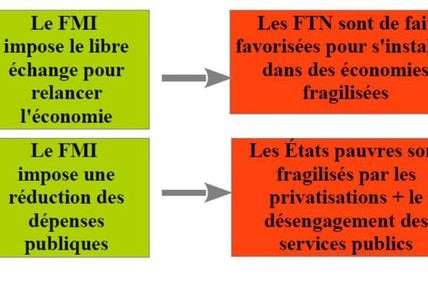 Saskia SASSEN, Expulsion, brutalité et complexité dans l'économie globale, NRF Essais, Gallimard, 2016.