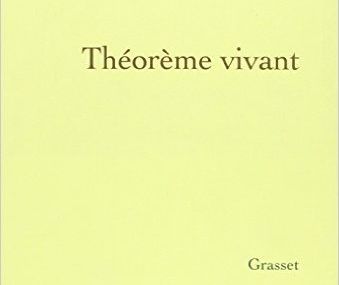 Legobook: Théorème vivant de Cédric Villani