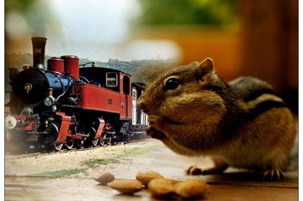 Les plus belles cartes postales...............