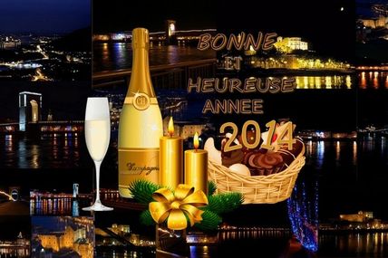 meilleurs vœux 2014