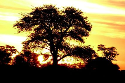 Acte 6.4 / Namibia Loop 2015 / Sossusvlei - KTP- SA
