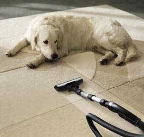 Carpet Cleaning Surrey