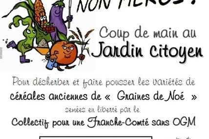 Faucheurs et OGM