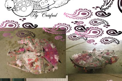 Faucon Millenium (Pink lady)