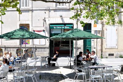 Les Cèdres du Liban La Rochelle