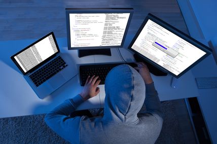 Online Security: Fighting Online Fraud Through eDNA
