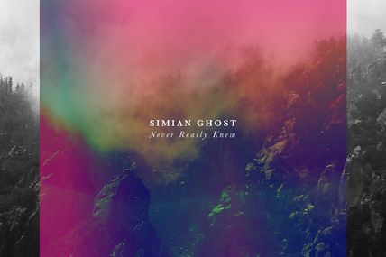 La pop de Simian Ghost se fait dansante avec les remixes de Suna et JD Samson (Le Tigre)