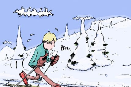 Ski de fond