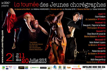 LA TOURNEE DES JEUNES CHOREGRAPHES