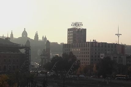 Barcelona : bougainvilliers et perruche, c'est reparti, putain!