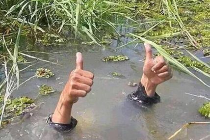 2016, LE BILAN: JUSQU'ICI TOUT VA BIEN. VRAIMENT BIEN.