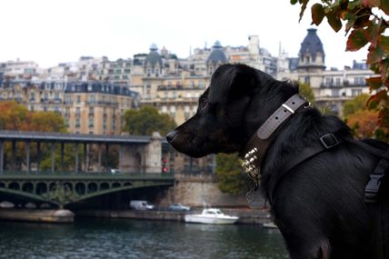 I love Paris
