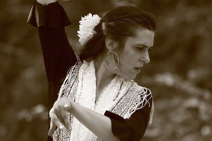 Stages de Flamenco et Sévillanes Saison 2013/2014