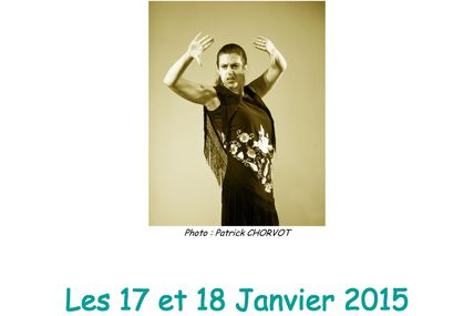 Stage de découverte du Flamenco à Besançon les 17 et 18 janvier 2015