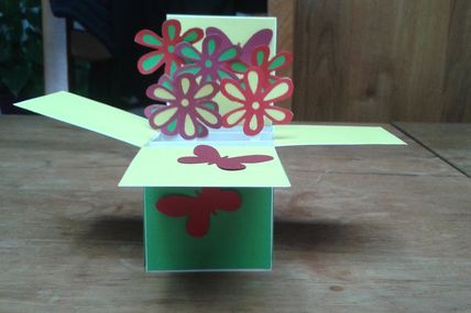 box card