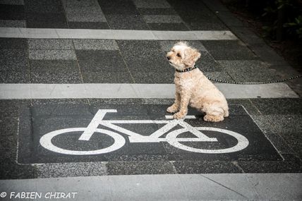 LA PHOTO DU JOUR