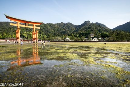 Île de Miyajima