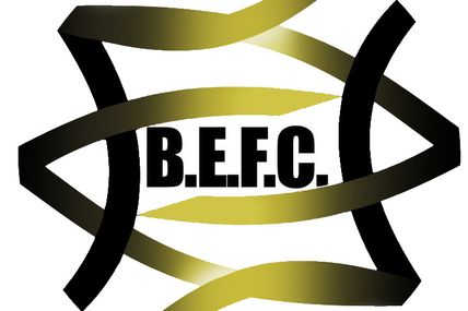 Communication - Bordeaux Elite Football Club : Début de la saison 2015-2016