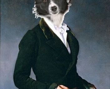 DANDY s'effrite