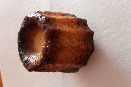 Mes premiers Cannelés