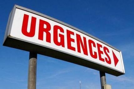 SAVOIR TRAVAILLER DANS L'URGENCE DE RISACE LUIGI