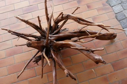 Bientôt une table basse en souche bois flotté
