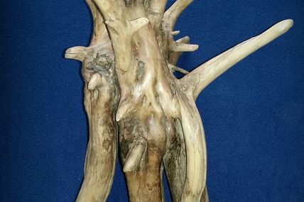 Work in progress (Driftwood)