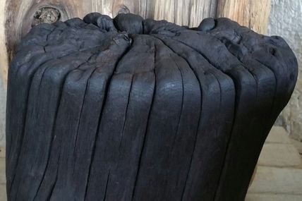 Tronc naturel (non coupé) en bois flotté brûlé