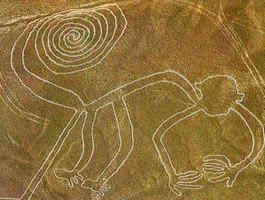 Dessin nazca