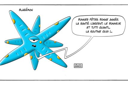 Bonne fin 2016 et bon début 2017...