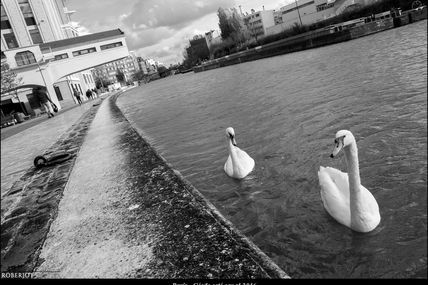 Partie de pêche autour de la Villette...