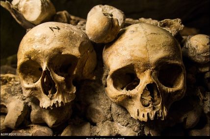 Des crânes et des os : les catacombes de Paris
