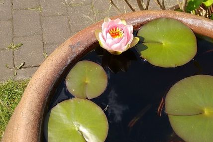 Es muss nicht gleich ein See sein ...