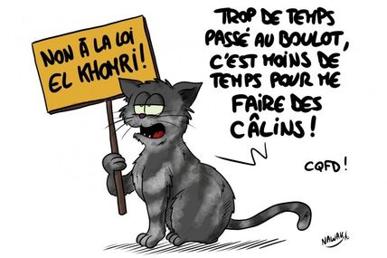 L'égarée du conflit national