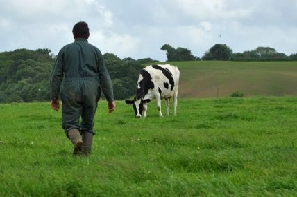 Les arcanes de l'agriculture