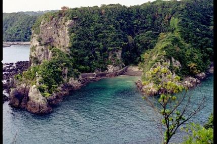 En direct de la Baie de la honte à Taiji au Japon!