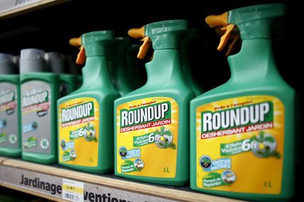 Le glyphosate toujours autorisé, "une mesure irresponsable" et "le contraire de ce qu'attendent les citoyens"
