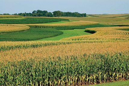 OGM - Pesticides : J'ai le droit de savoir et choisir ! Conférence internationale ce 26 janvier 2017 à Bruxelles